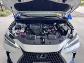 Thumbnail of 2025 Eminent White Pearl Lexus NX 350