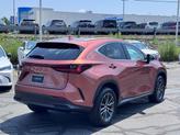 Thumbnail of 2025 Copper Lexus NX 350