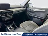 Thumbnail of 2022 Ice Blue Ford Escape