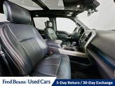 Thumbnail of 2019 Magnetic Ford F-150