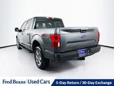 Thumbnail of 2019 Magnetic Ford F-150