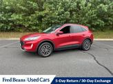 Thumbnail of 2022 Rapid Red Metallic Tinted Clearcoat Ford Escape PHEV