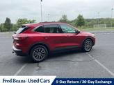 Thumbnail of 2022 Rapid Red Metallic Tinted Clearcoat Ford Escape PHEV