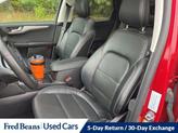 Thumbnail of 2022 Rapid Red Metallic Tinted Clearcoat Ford Escape PHEV