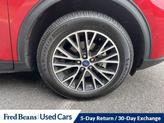 Thumbnail of 2022 Rapid Red Metallic Tinted Clearcoat Ford Escape PHEV