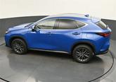 Thumbnail of 2022 Grecian Water Lexus NX 350