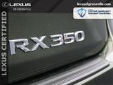 Thumbnail of 2022 Nori Green Pearl Lexus RX 350