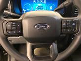 Thumbnail of 2024 Bronze Metallic Ford F-250