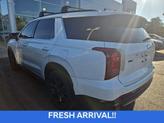 Thumbnail of 2023 Hyper White Hyundai PALISADE