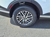Thumbnail of 2026 Pearl Hyundai PALISADE