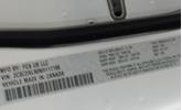 Thumbnail of 2022 White Knuckle Clearcoat Dodge Charger