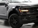 Thumbnail of 2025 Agate Black Metallic Ford F-150