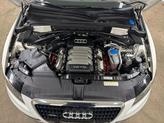 Thumbnail of 2010 Ibis White Audi Q5
