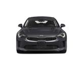 Thumbnail of 2019 Panthera Metal Kia Stinger