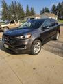 Thumbnail of 2020 Magnetic Ford Edge