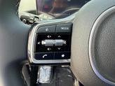 Thumbnail of 2025 Metal Kia Sorento