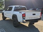 Thumbnail of 2023 Ice Cap Toyota Tacoma