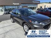 Photo of 2020 Magnetic Ford Escape
