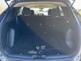 Thumbnail of 2020 Magnetic Ford Escape