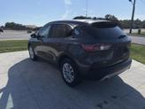 Thumbnail of 2020 Magnetic Ford Escape