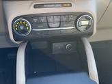 Thumbnail of 2020 Magnetic Ford Escape