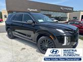 Photo of 2025 Abyss Black Pearl Hyundai PALISADE