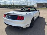 Thumbnail of 2022 Oxford White Ford Mustang