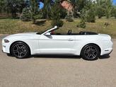 Thumbnail of 2022 Oxford White Ford Mustang