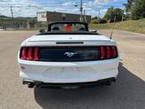 Thumbnail of 2022 Oxford White Ford Mustang