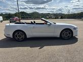 Thumbnail of 2022 Oxford White Ford Mustang