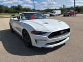 Thumbnail of 2022 Oxford White Ford Mustang