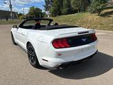 Thumbnail of 2022 Oxford White Ford Mustang