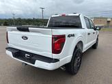 Thumbnail of 2025 Oxford White Ford F-150