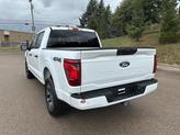 Thumbnail of 2025 Oxford White Ford F-150