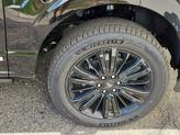 Thumbnail of 2025 Agate Black Metallic Ford F-150