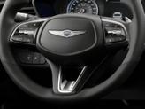 Thumbnail of 2024 Uyuni White Genesis G70