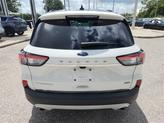 Thumbnail of 2020  Ford Escape
