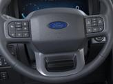 Thumbnail of 2025 Carbonized Gray Metallic Ford F-150