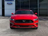 Thumbnail of 2023 Race Red Ford Mustang