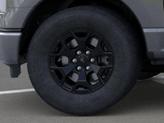 Thumbnail of 2025 Carbonized Gray Metallic Ford F-150 Lightning