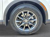 Thumbnail of 2026 Platinum White Pearl Honda CR-V