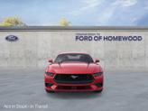 Thumbnail of 2025 RACE RED Ford Mustang
