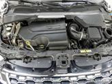 Thumbnail of 2020 White Land Rover Range Rover Evoque