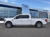 Thumbnail of 2025 Oxford White Ford F-150