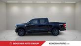 Thumbnail of 2023 Agate Black Metallic Ford F-150