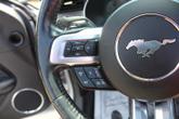Thumbnail of 2019  Ford Mustang