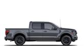 Thumbnail of 2025 Gray Ford F-150