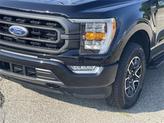 Thumbnail of 2023 Agate Black Metallic Ford F-150