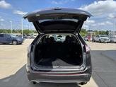 Thumbnail of 2018 Magnetic Ford Edge