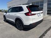 Thumbnail of 2026 Platinum White Pearl Honda CR-V